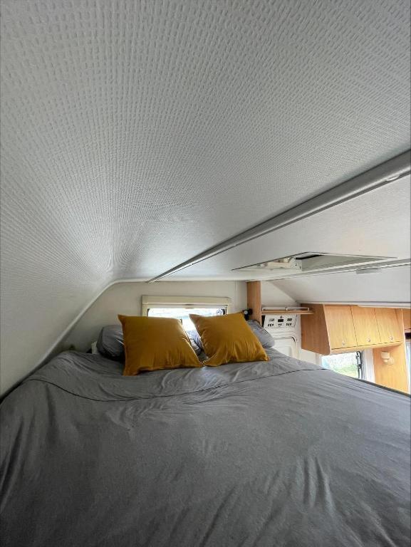 The Cosy Camper At Rockfield Park Hotel Galway Eksteriør billede